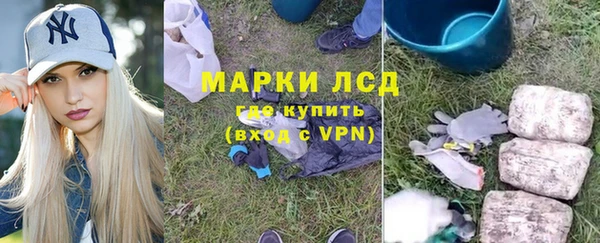 эйфоретик Баксан