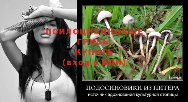 эйфоретик Баксан