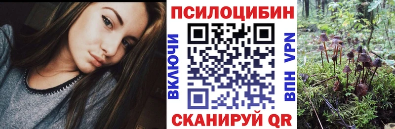 цена Кубинка Галлюциногенные грибы Cubensis